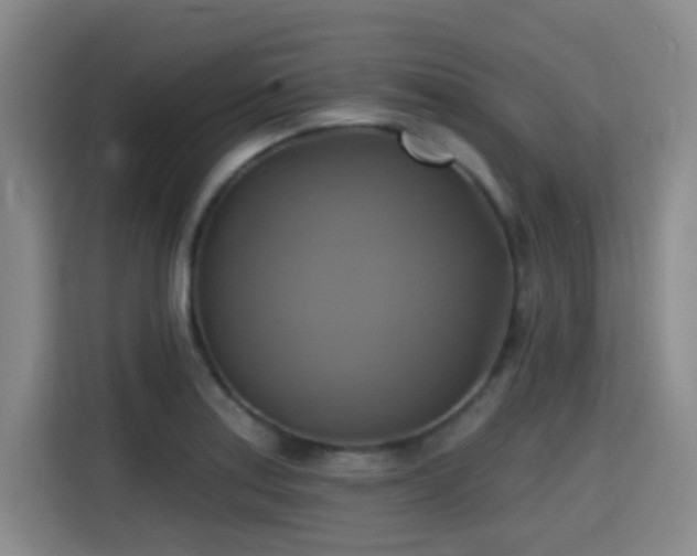 X0000115331179200911091239