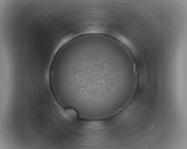 X0000115331181200911091239
