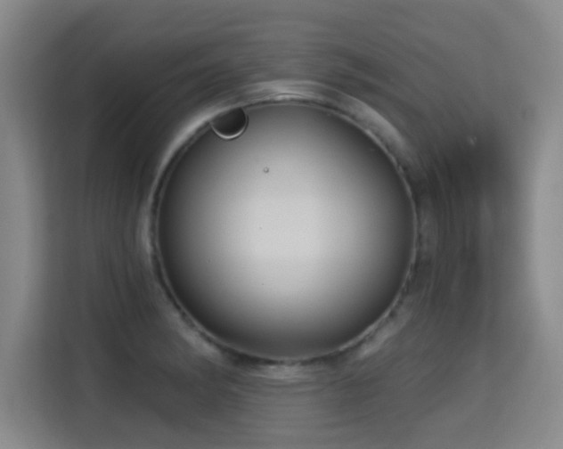 X0000115331182200911091239