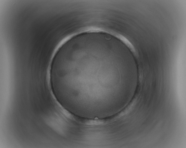 X0000115331183200911091239
