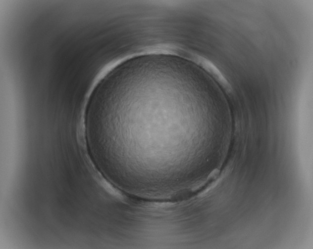 X0000115331184200911091239