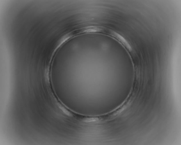 X0000115331186200911091239