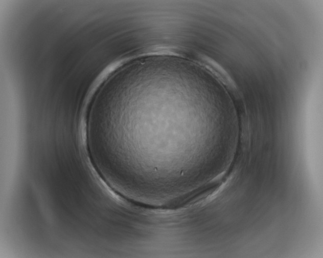 X0000115331188200911091239