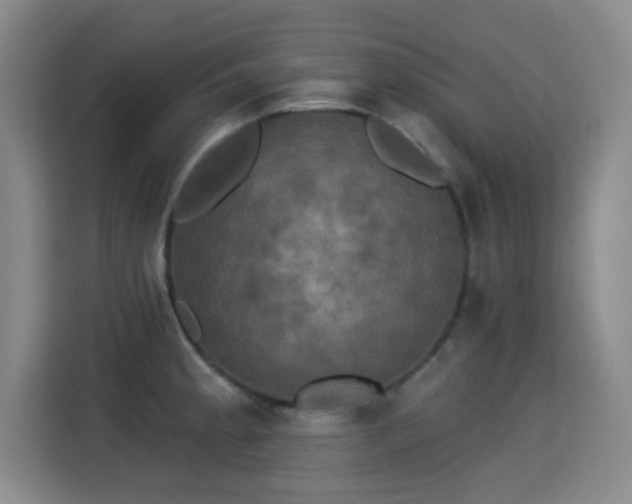 X0000115331189200911091239