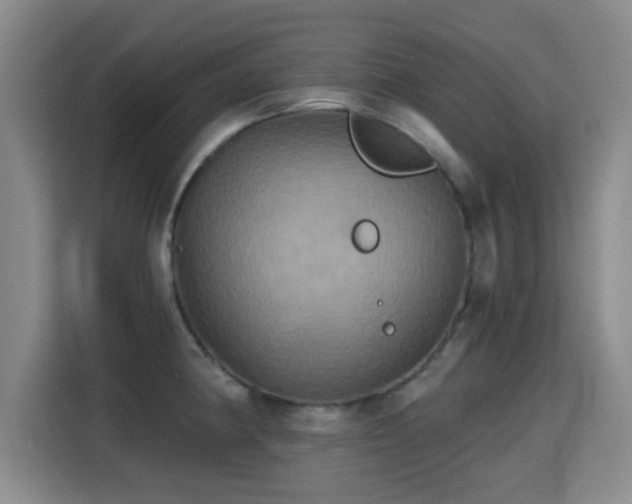 X0000115331190200911091239