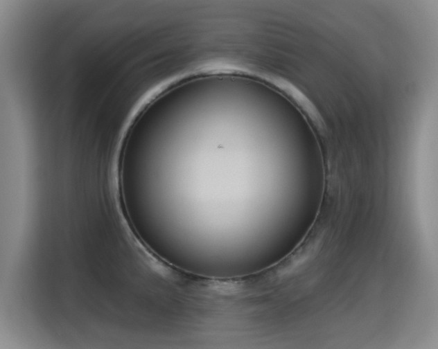X0000115331191200911091239