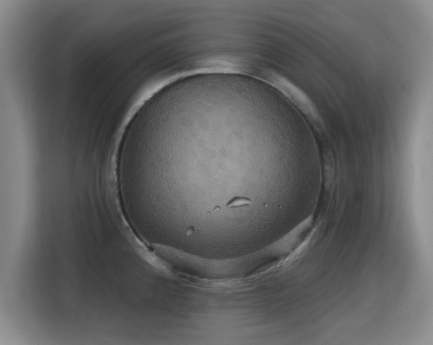 X0000115331192200911091239