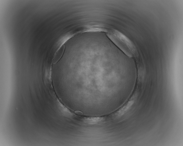 X0000115331193200911091239