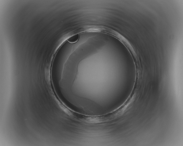 X0000115331194200911091239