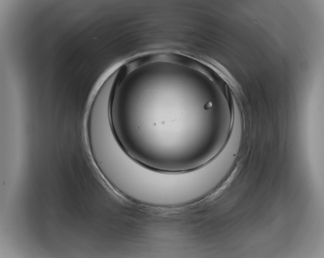 X0000115331196200911091239