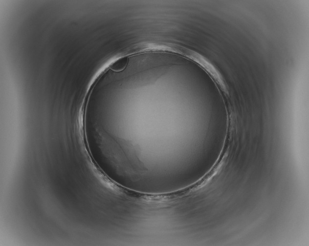 X0000115331198200911091239