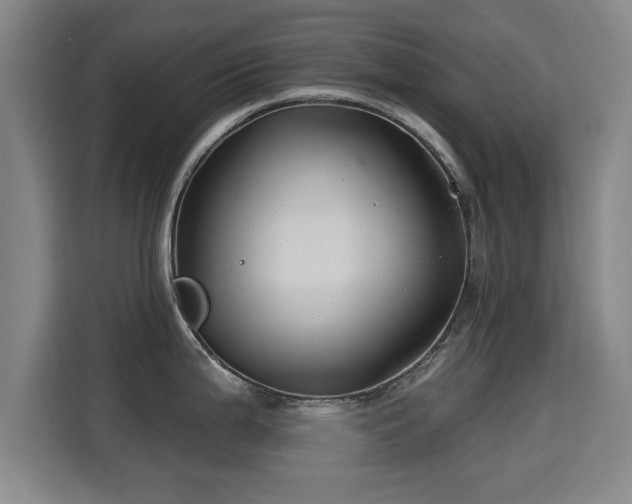 X0000115331199200911091239