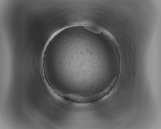 X0000115331200200911091239