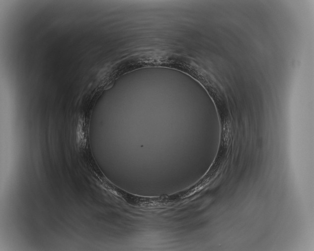X0000115331202200911091238
