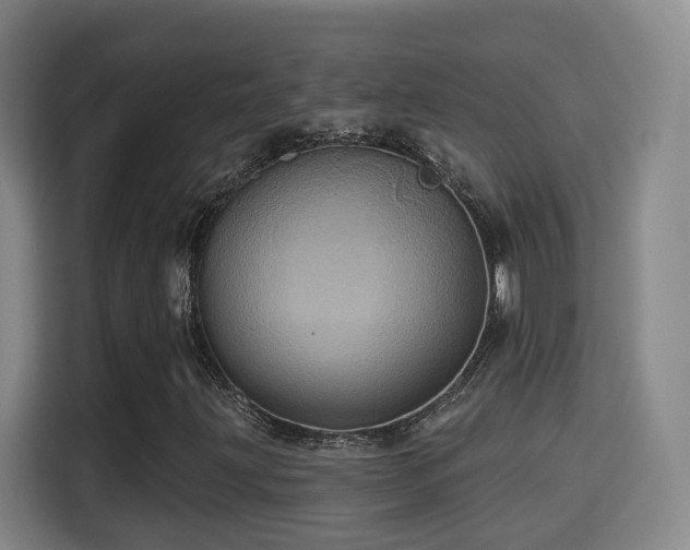 X0000115331203200911091238