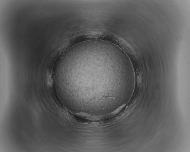 X0000115331204200911091238