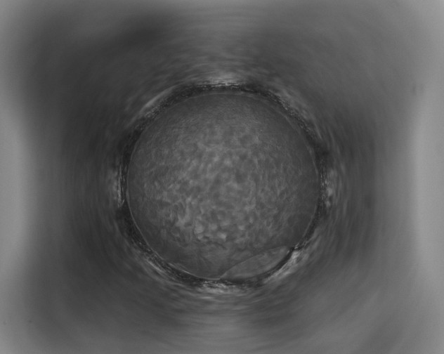 X0000115331205200911091238