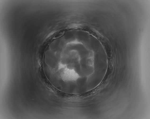 X0000115331206200911091238