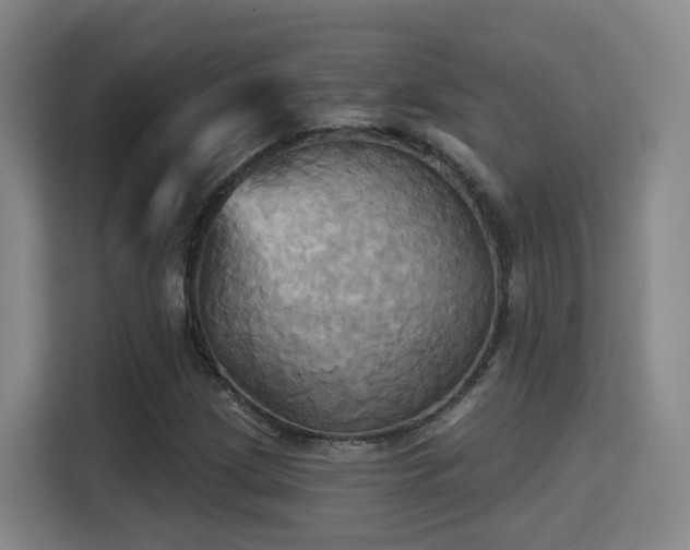 X0000115331209200911091238