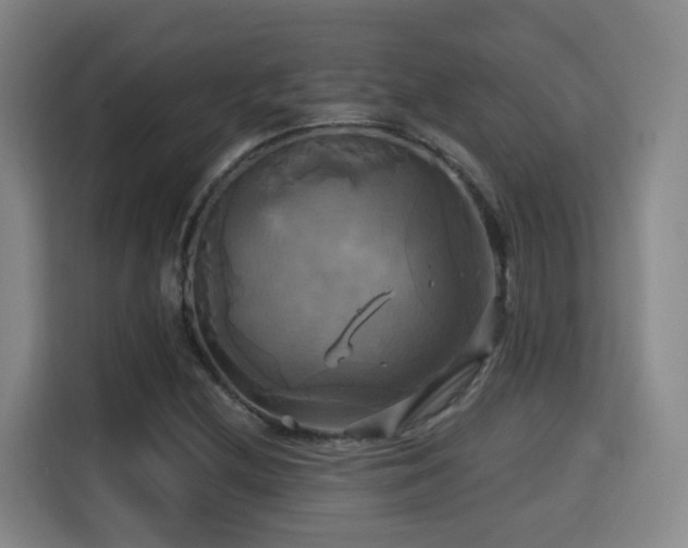 X0000115331212200911091238