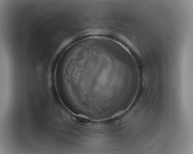 X0000115331213200911091238