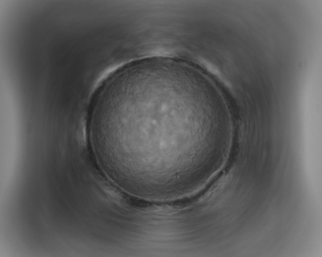X0000115331214200911091238