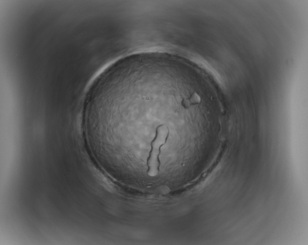 X0000115331216200911091238