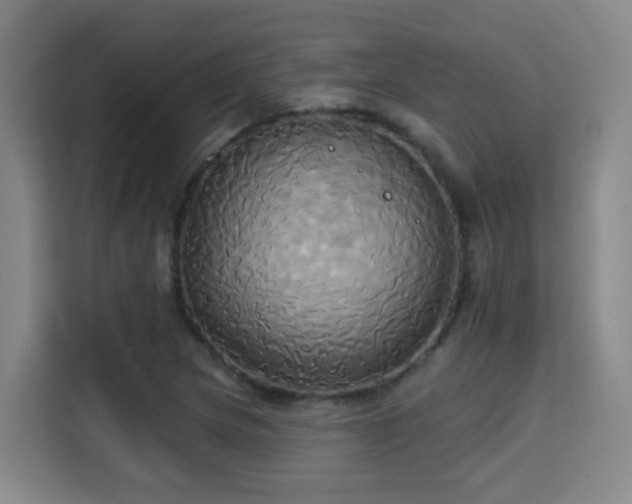 X0000115331217200911091238