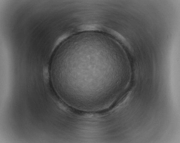 X0000115331218200911091238