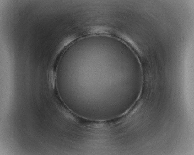 X0000115331219200911091238