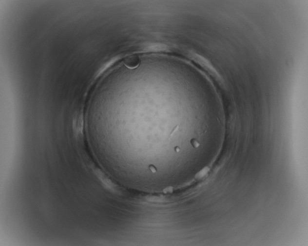 X0000115331220200911091238