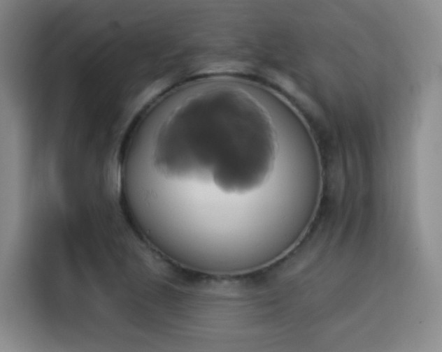X0000115331221200911091238
