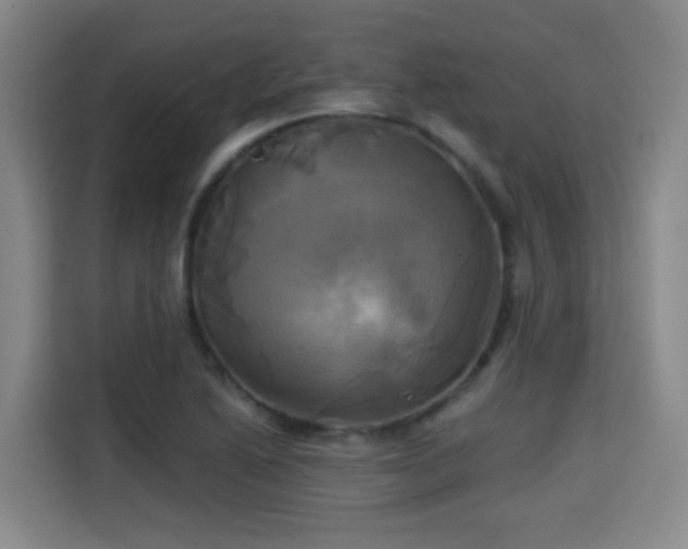 X0000115331222200911091238