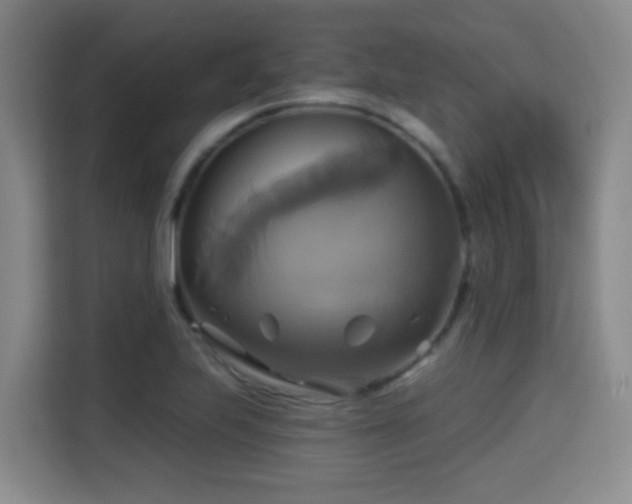 X0000115331223200911091238