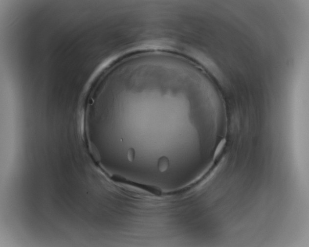 X0000115331224200911091238