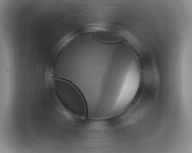 X0000115331225200911091238