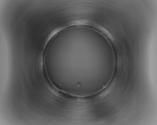 X0000115331226200911091238
