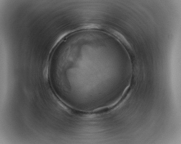 X0000115331228200911091238