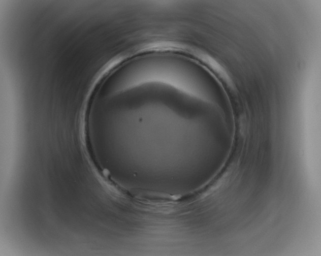 X0000115331229200911091238