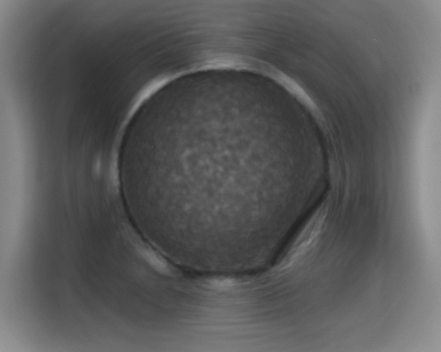 X0000115331230200911091238