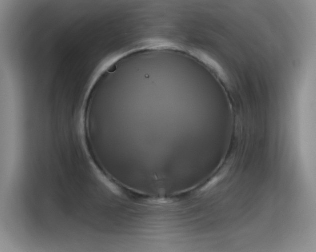 X0000115331231200911091238