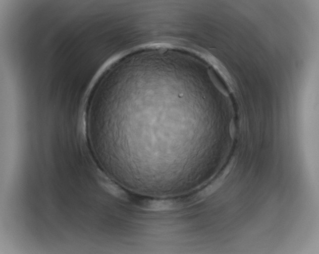 X0000115331232200911091238
