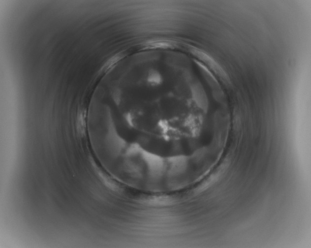 X0000115331233200911091238