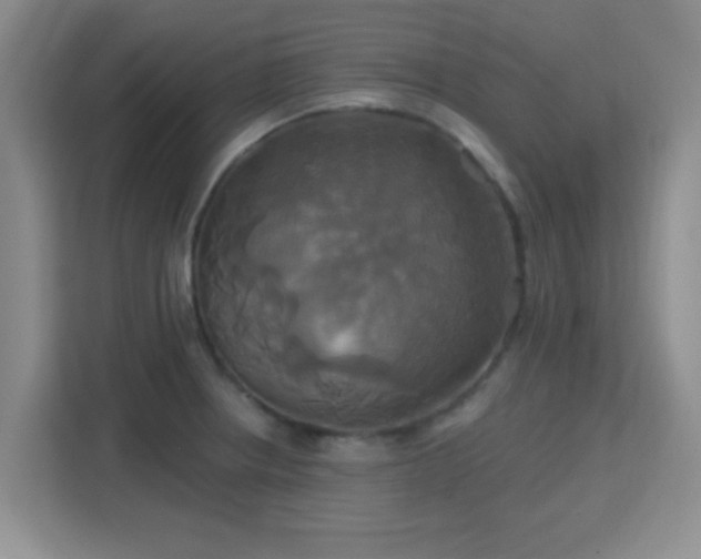 X0000115331234200911091238