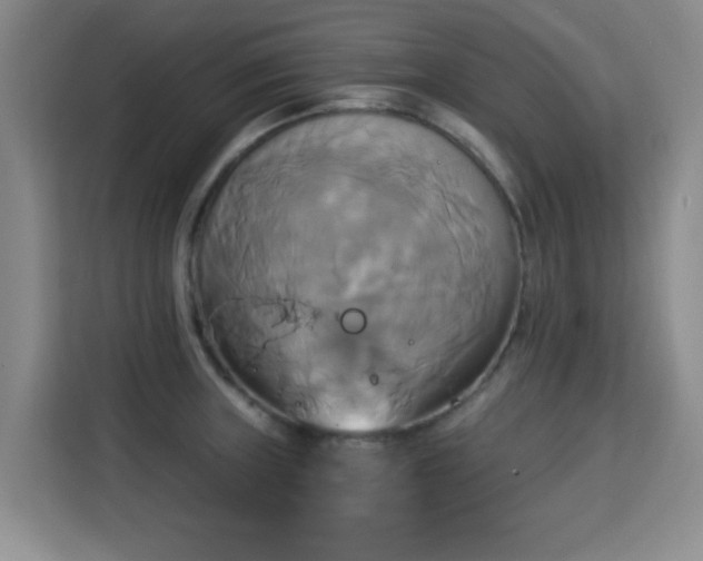 X0000115331235200911091238