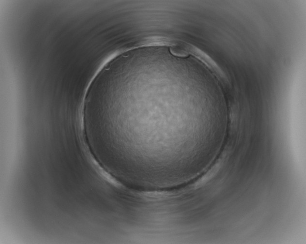 X0000115331236200911091238