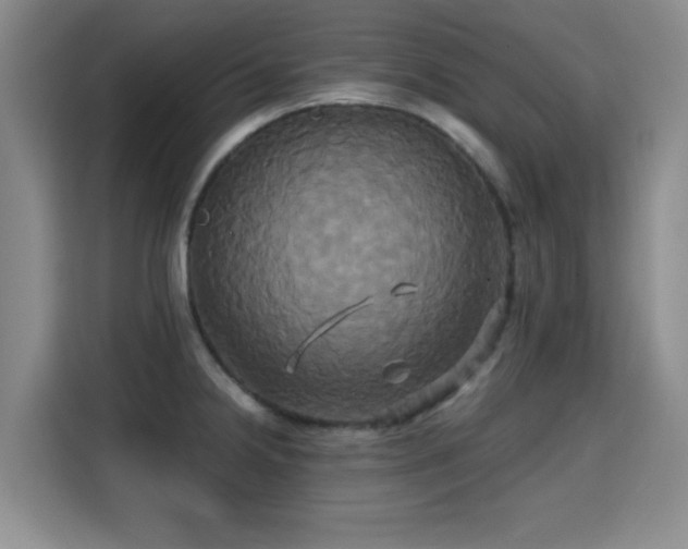 X0000115331238200911091238