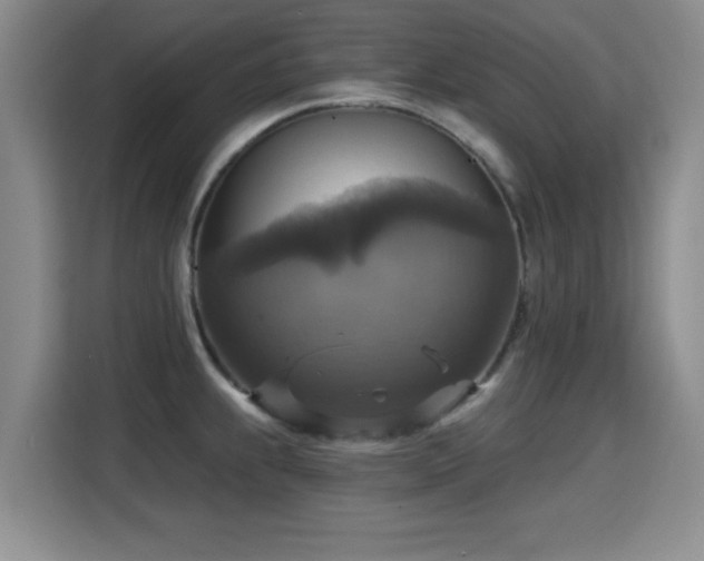 X0000115331239200911091238