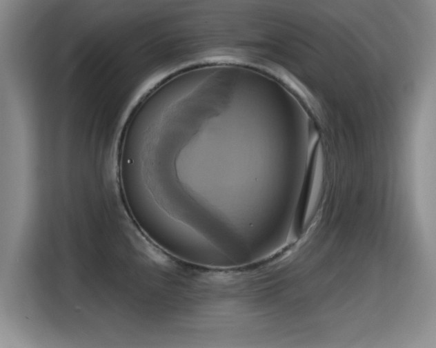 X0000115331240200911091238