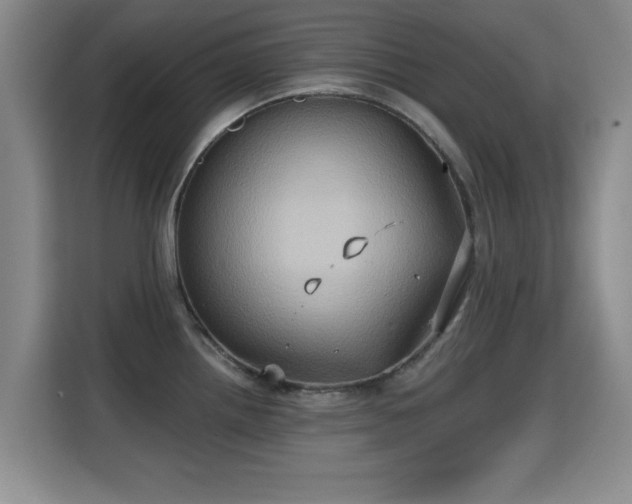 X0000115331242200911091239